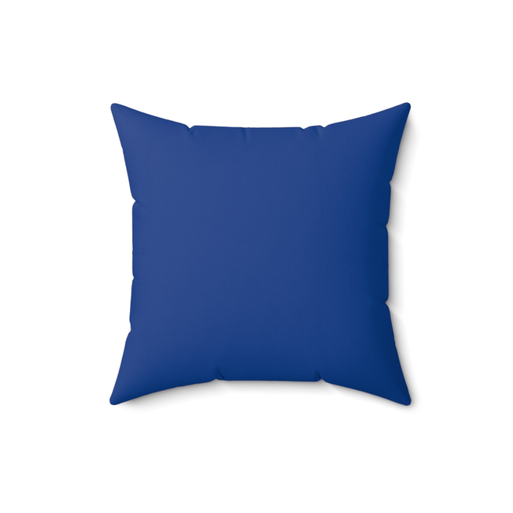 Vintage DC-3 Airliner Pillow — Retro Seattle Skyline Travel Decor