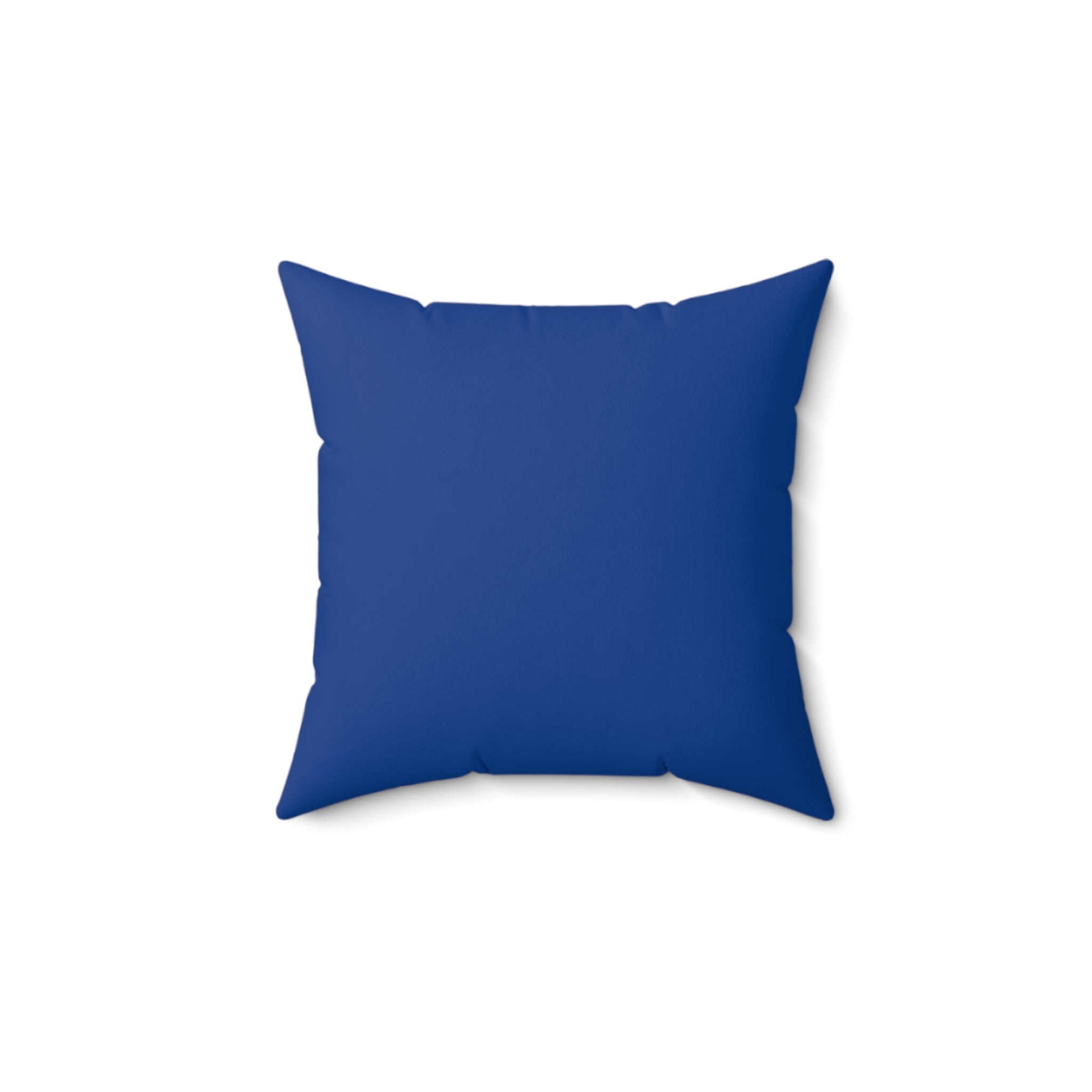 Vintage DC-3 Airliner Pillow — Retro Seattle Skyline Travel Decor